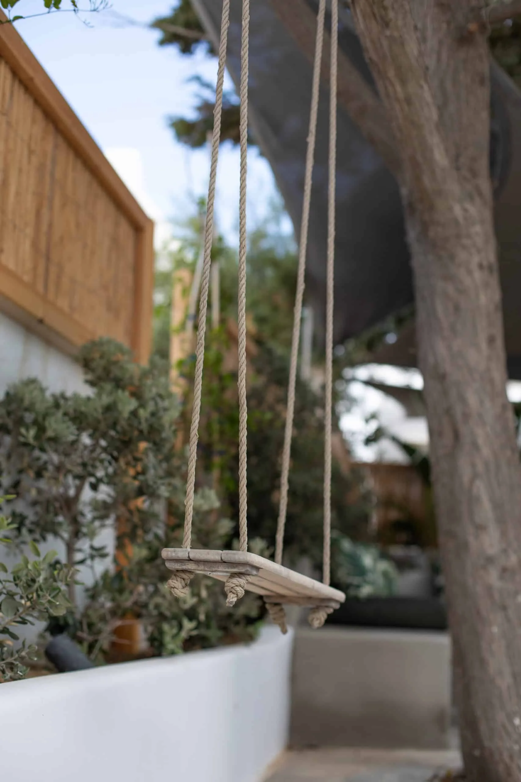 Garden swing beneath the pine trees